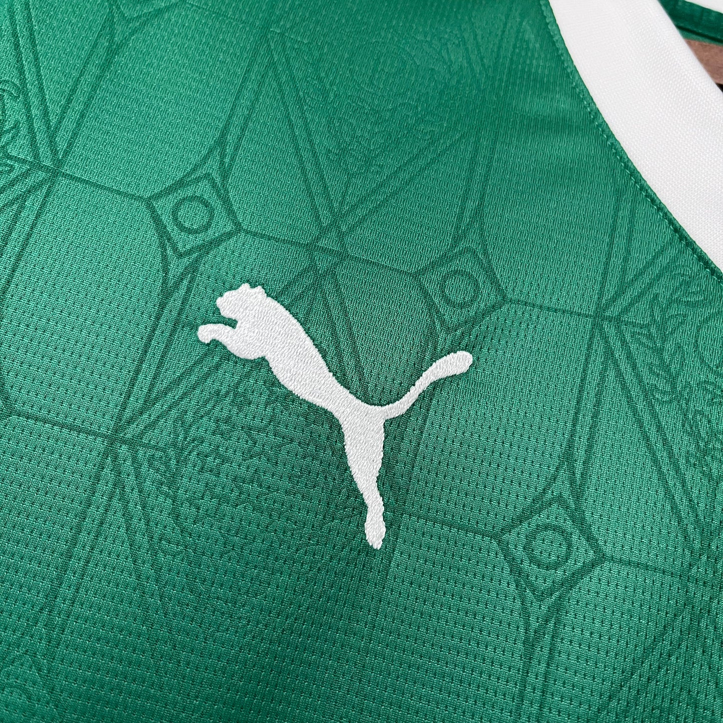 Brasileirão Série A - Palmeiras - 25/26