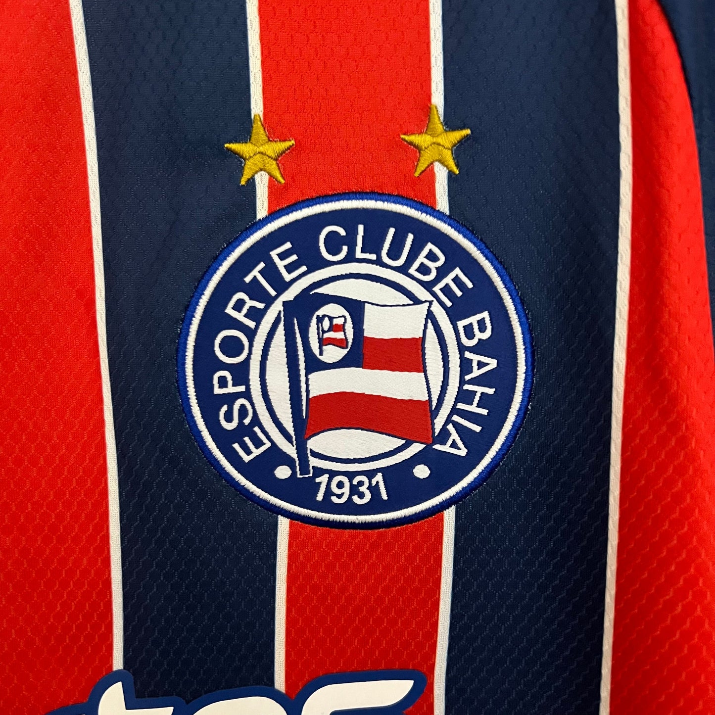 Brasileirão Série A - Bahia - 23/24