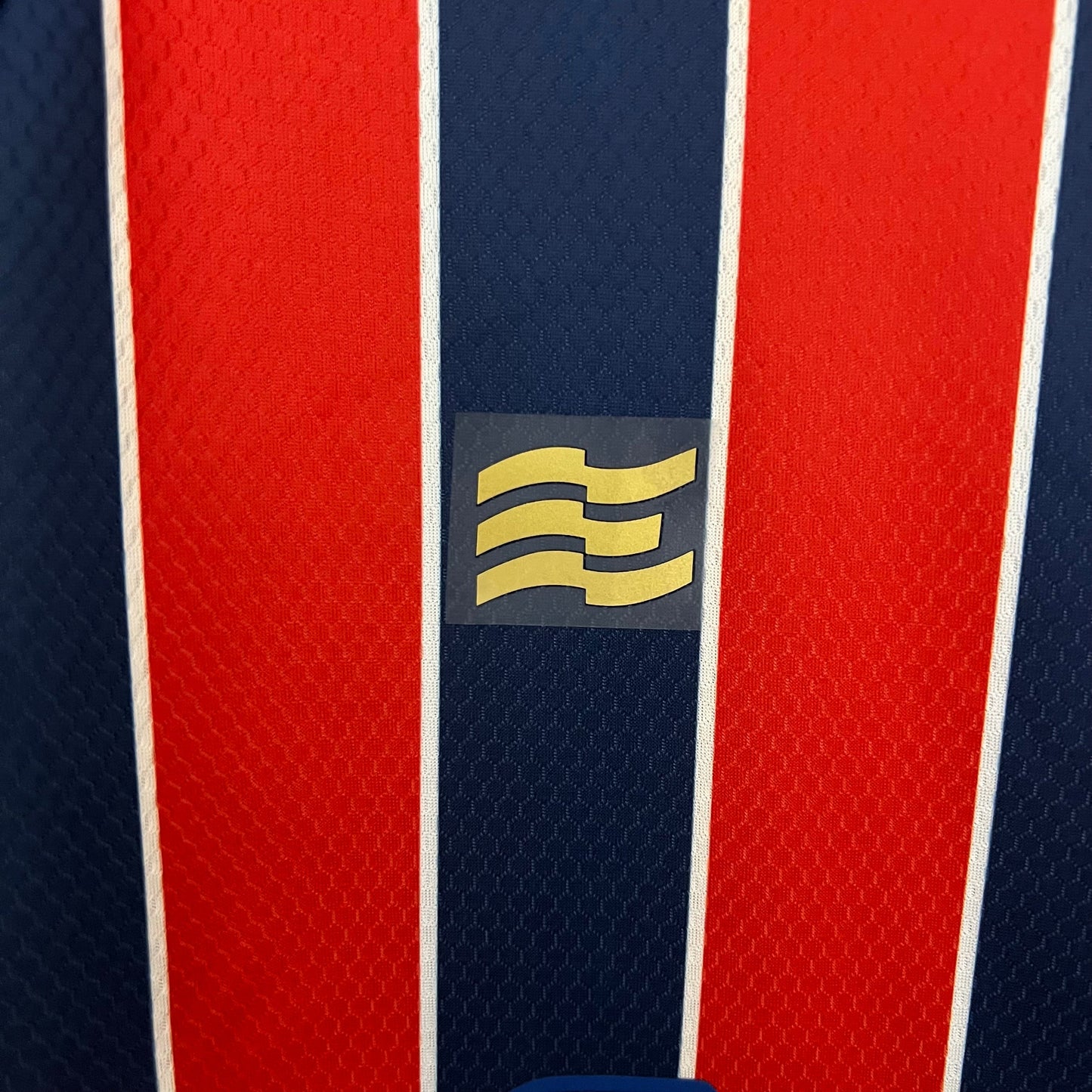 Brasileirão Série A - Bahia - 23/24