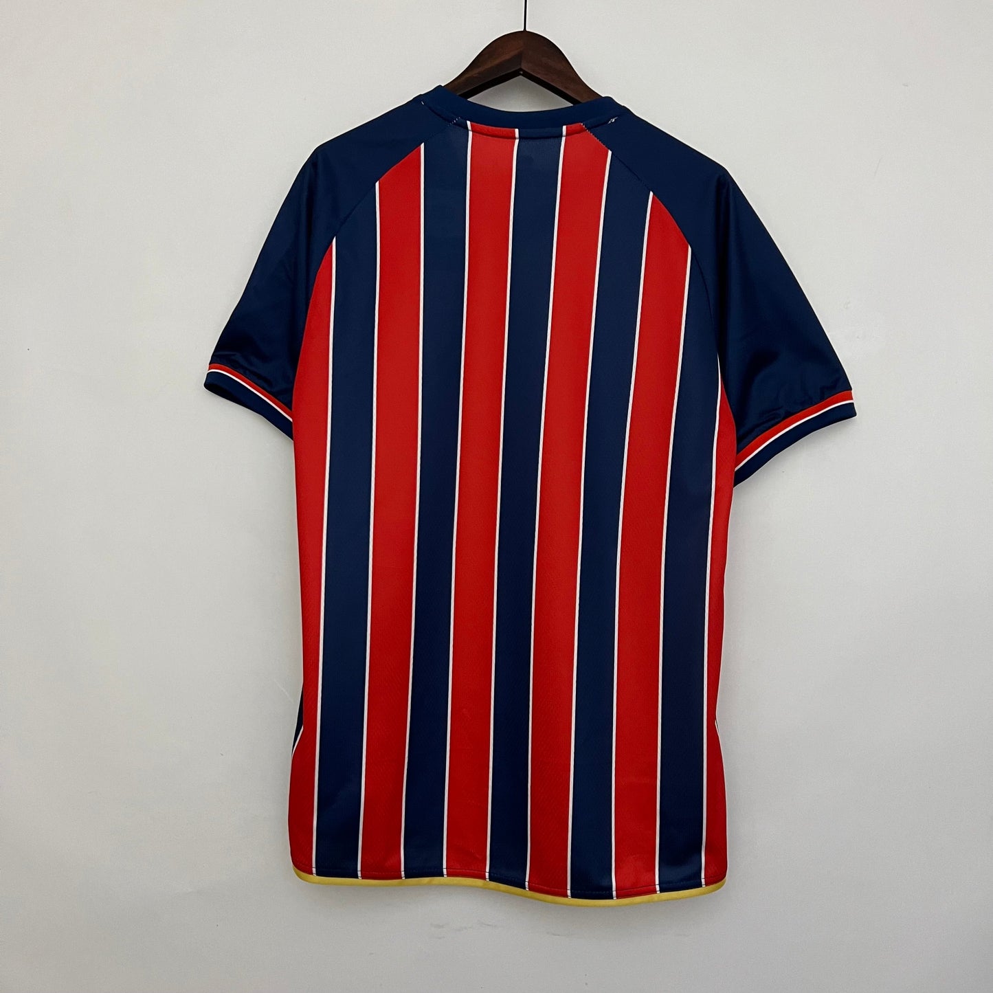 Brasileirão Série A - Bahia - 23/24