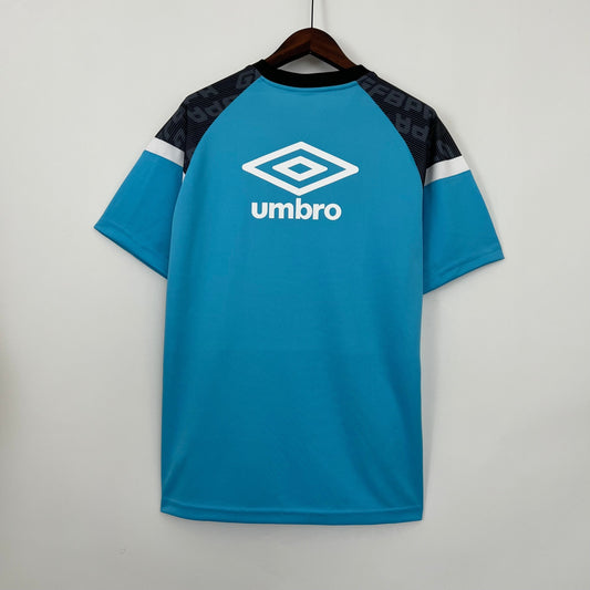 Brasileirão Série A - Grêmio Treino - 23/24